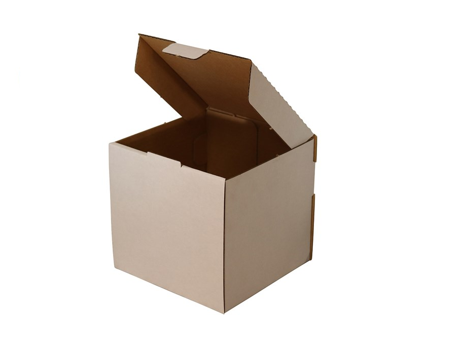 Extra Small Mailing Box - Australia Post BX22