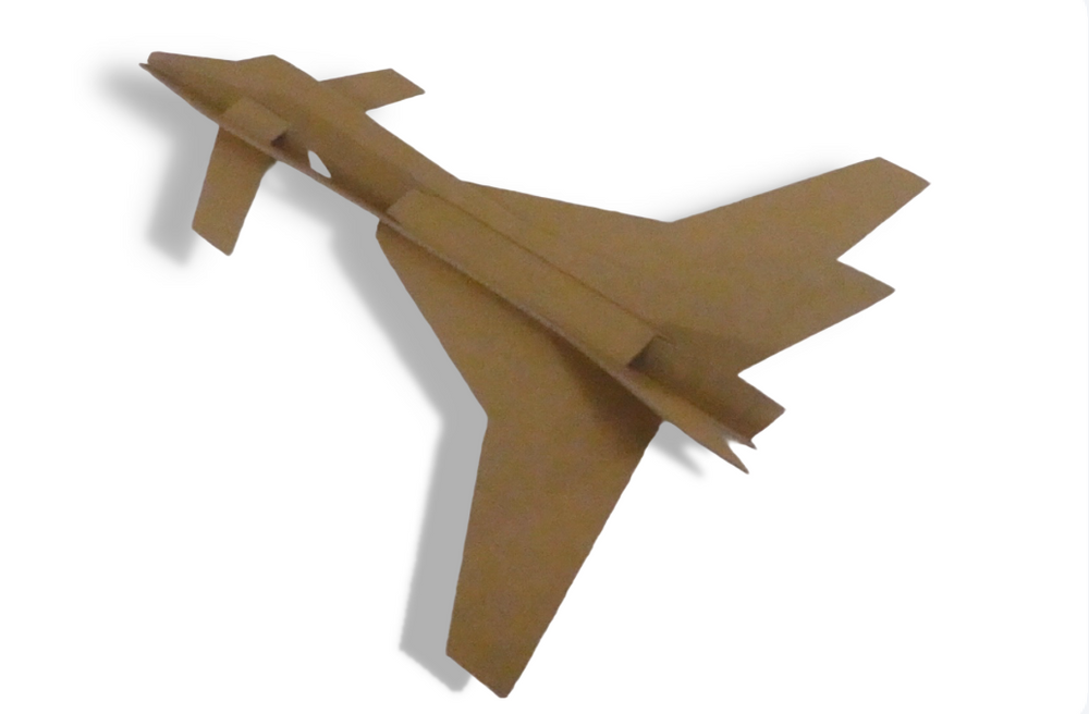Cardboard Airplane