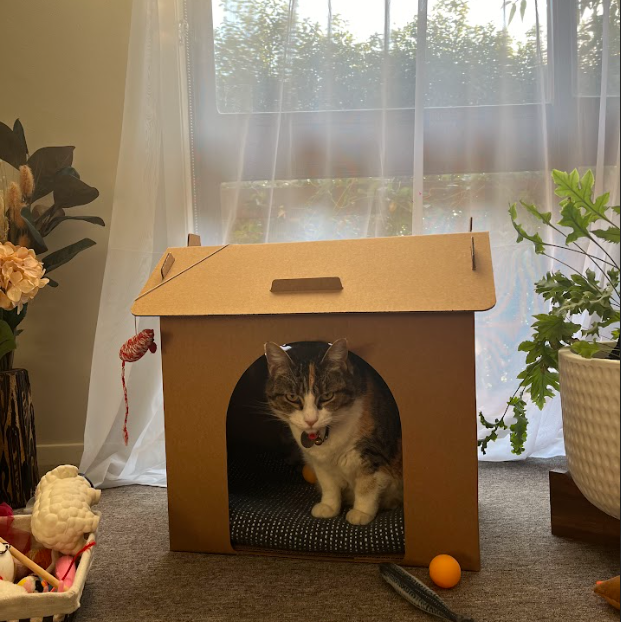 
                  
                    Cardboard Pet House - Sold as single unit
                  
                