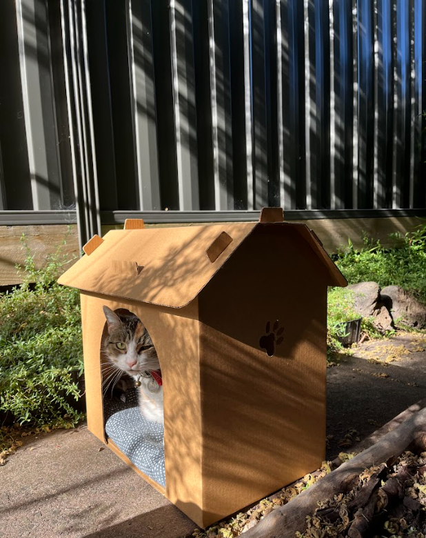 
                  
                    Cardboard Pet House - Sold as single unit
                  
                
