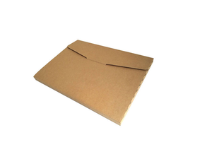 
                  
                    A4 Rigid Envelope Mailer from Kebet Packaging in recyclable cardboard
                  
                