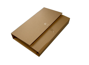 
                  
                    Larger Book Mailer from Kebet Packaging in recyclable cardboard
                  
                