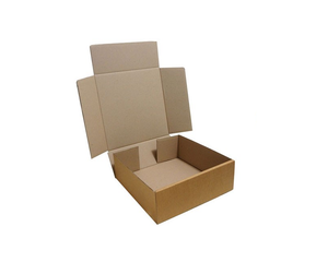 
                  
                    Type 2 for 5kg Satchels from Kebet Packaging in recyclable cardboard
                  
                